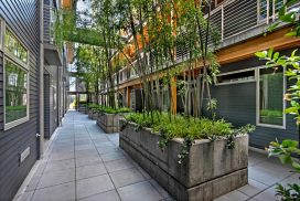 Courtyard-mississippi-avenue-lofts